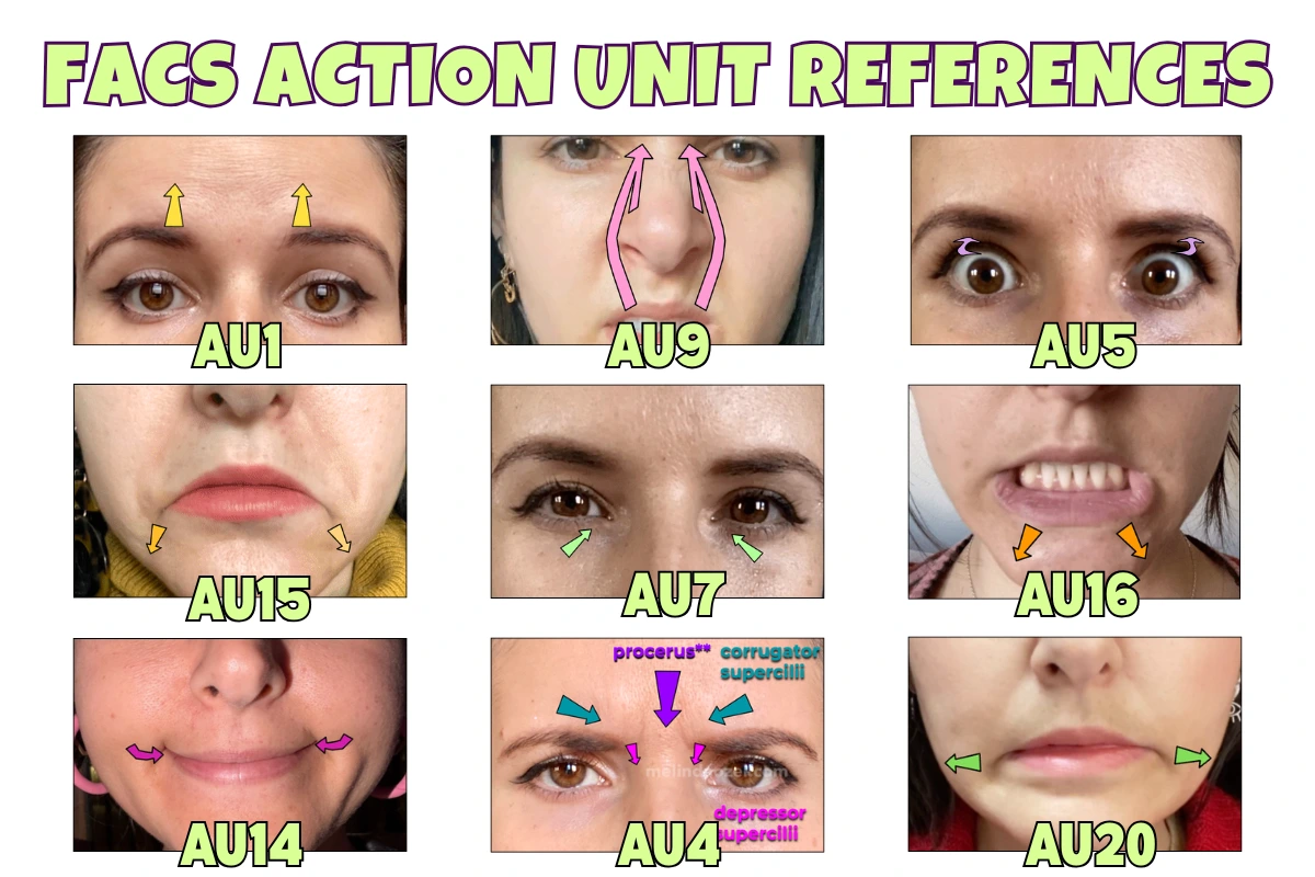 FACS (Facial Action Coding System) Photo References - Face the